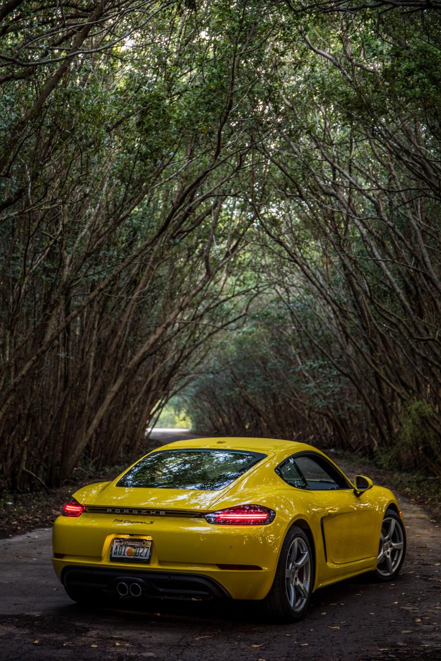  Porsche 718 Cayman S 2016 года  (NA) (фото 21 из 36)